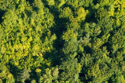 Au Chemin des Dames