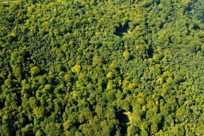 Au Chemin des Dames