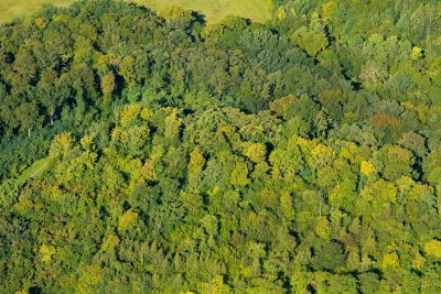 Au Chemin des Dames