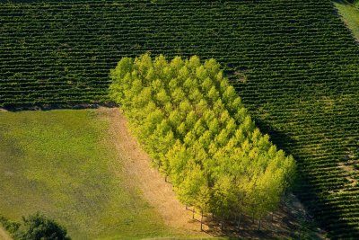 Cordes-sur-Ciel