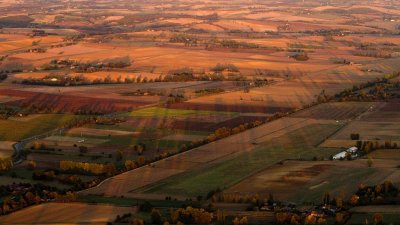Dernières ombres