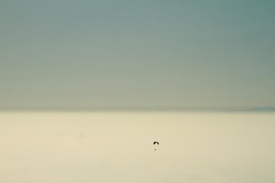 Comme un poisson dans l'air