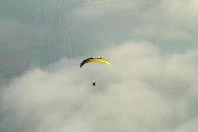 Comme un poisson dans l'air