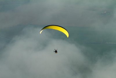 Comme un poisson dans l'air