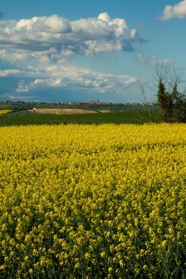 Orage de printemps