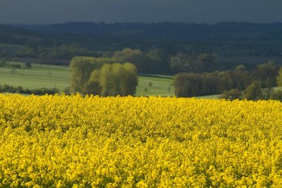 Orage de printemps