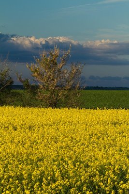 Orage de printemps