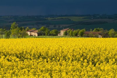 Orage de printemps
