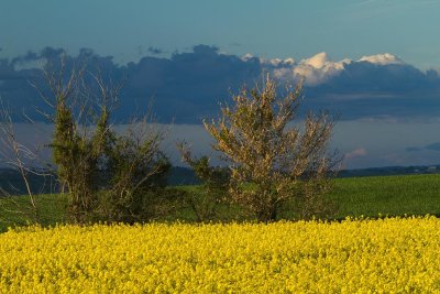 Orage de printemps