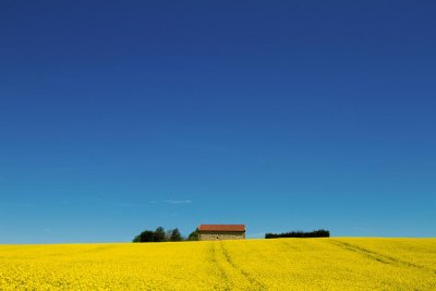 Entre bleu et jaune