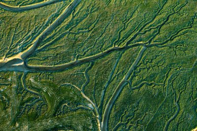 La baie de Somme