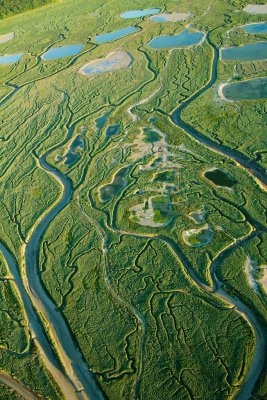 La baie de Somme