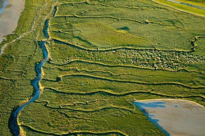 La baie de Somme
