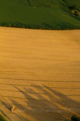 Lauragais du soir