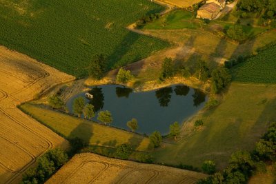 Lauragais du soir