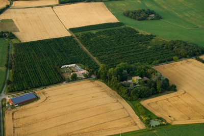 Lauragais du soir