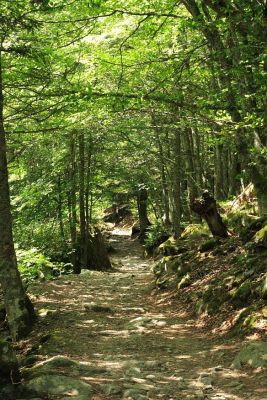 Le val de Jerret, Cauterets