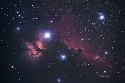 Horsehead and Flame Nebulas.jpg