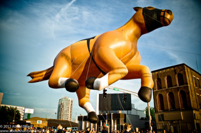 Pegasus Parade 2012