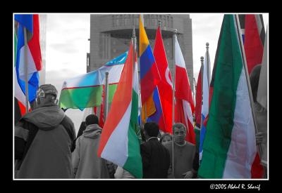 83rd entry. Nov  21. 05. Flags