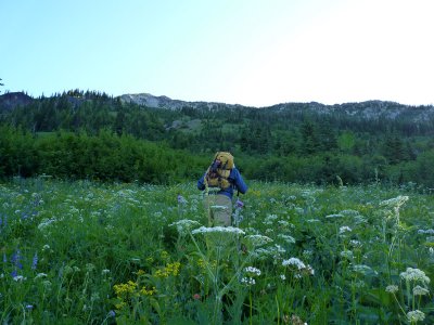 The Cradle Flower Hiking