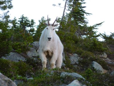 Alpine Lakes Wilderness - The Cradle