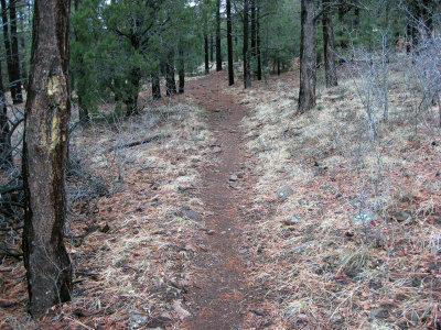 Woodchute Trail