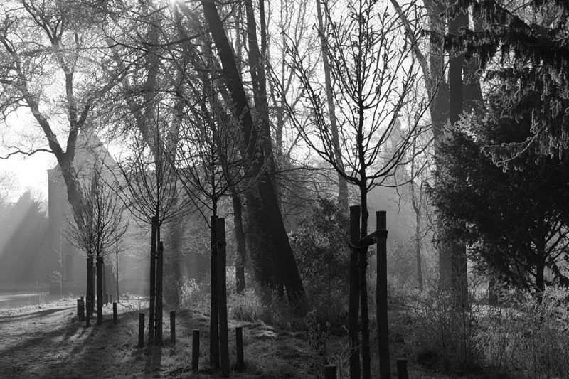 g4/14/415814/2/139890591.NR9liRK4.jpg