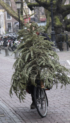 The cycling Christmastree!