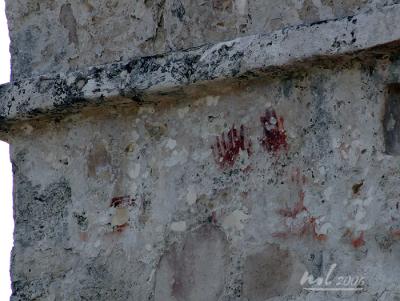 IMG_1470a.jpg