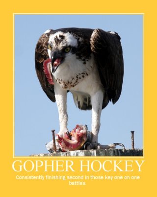 Gopher Motivator.jpg