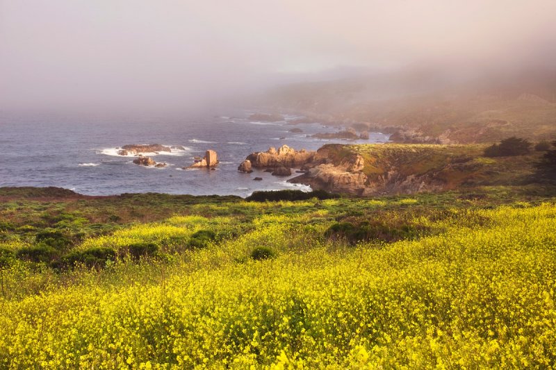 Spring coast