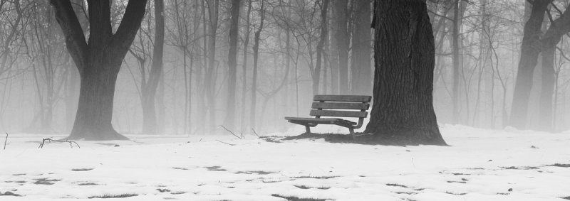 The foggy morning