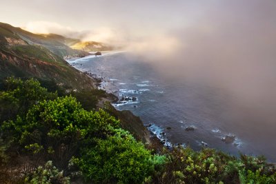 Morning fog