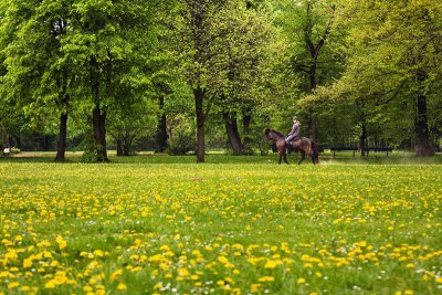 Spring ride