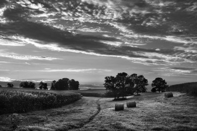 Field in the morning