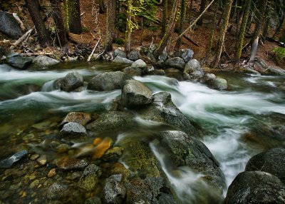 Sierra creek