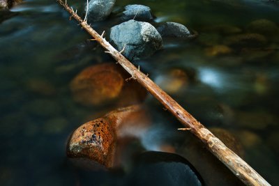 In the river