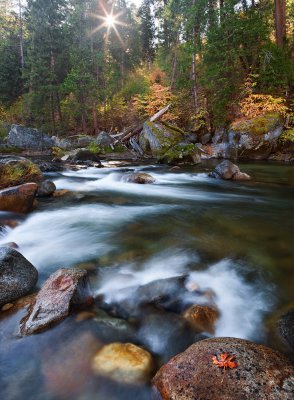 The autumn river