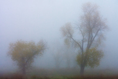 Autumn morning fog