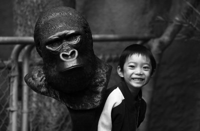 Hayden & gorilla