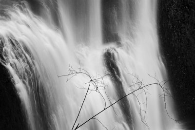 Silver Falls State Park