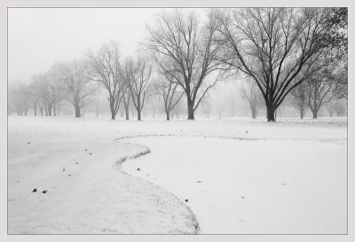 Winter morning