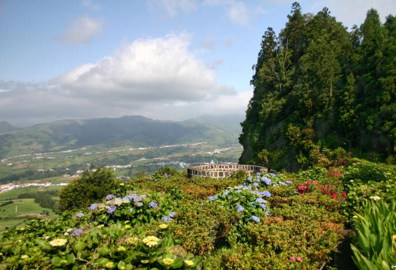 Floral Fields