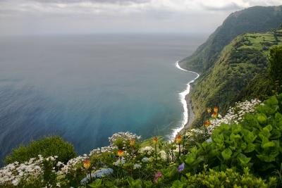 Flower Laced Cliff Edge