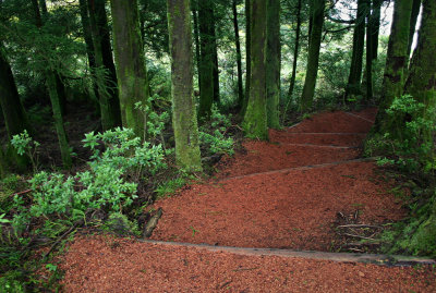 Cinder Stairway