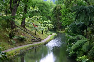 Flowing Pathway