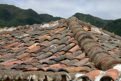 Old Tiled Rooftop