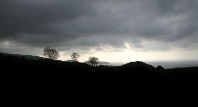 Silhouettes in the Night
