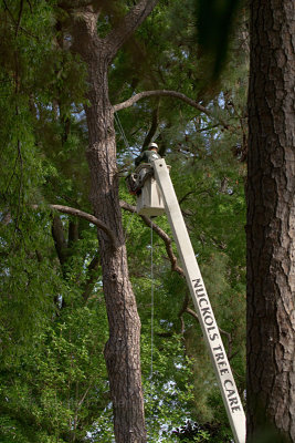 4-21-11 1878 bucket going up - Julian.jpg